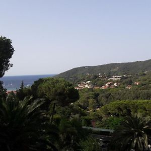 Residence Napoleon By Helloelba